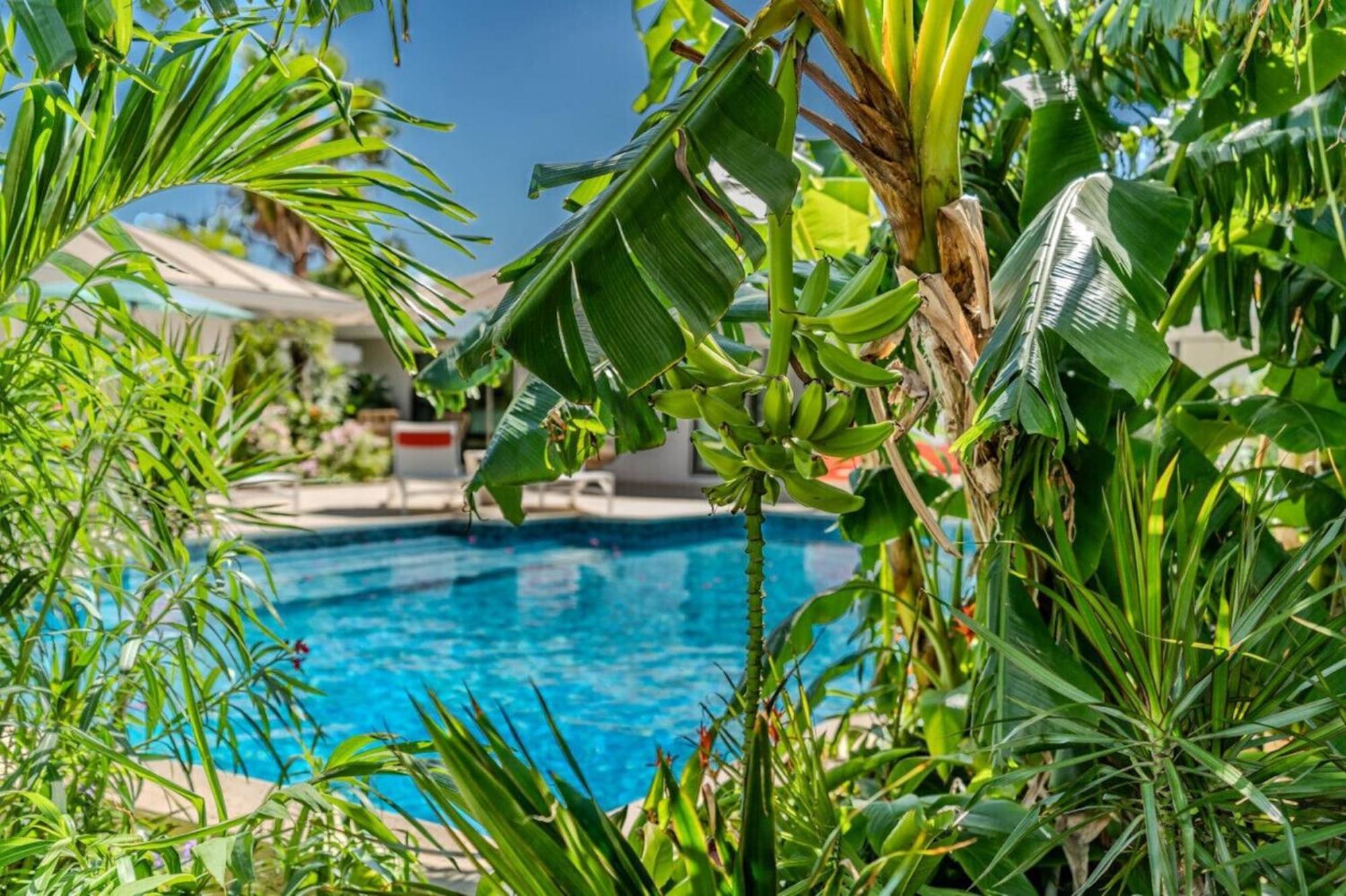 Royal Villa With A Huge Swimming Pool Cowell Battery Ngoại thất bức ảnh